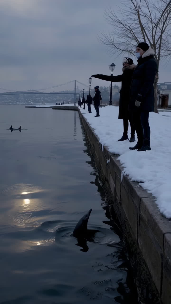 People watching dolphins in Istanbul during winter