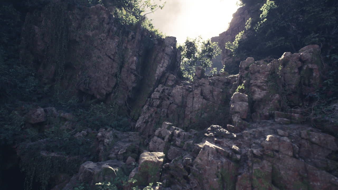 un cañón rocoso y cubierto de vegetación