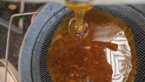 the honey from the honey extractor is filtered through a sieve. the honey is poured from the barrel into a colander