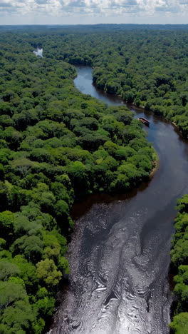 aerial view of a river winding through a lush rainforest