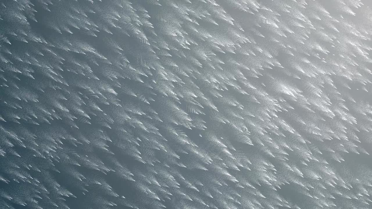 partículas blancas negocio brillante brillo bokeh polvo bucle de fondo abstracto