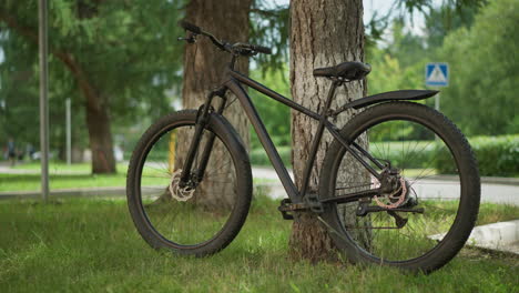 bicycle leaning against tree in serene park setting with blurred figure in background, adding depth and perspective, surrounded by lush greenery and soft bokeh effect