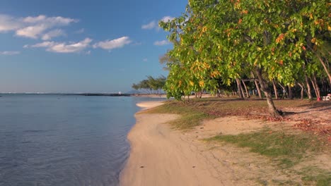 Slow-motion-shot-of-the-Mauritius-island-beach