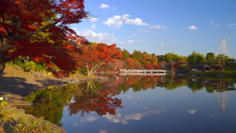 panorámica lenta disparada a través de hermosos paisajes dentro del jardín paisajístico japonés durante el otoño