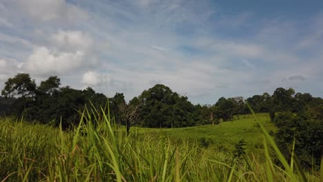 Landscape,-Bluesky,-Moving-Clouds,-People-Nature-Walking-at-a-Distance