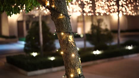 incluía una guirnalda de navidad en un tronco de árbol afuera. iluminación callejera de año nuevo en el parque. luces festivas. pequeñas bombillas cercanas con bokeh en el fondo.