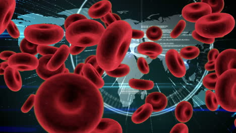 animación de glóbulos rojos con un mapa del mundo en el fondo