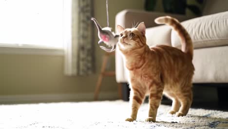 a playful orange cat engages with a toy mouse in a sunlit living room, showcasing its curiosity and agile movements during indoor playtime
