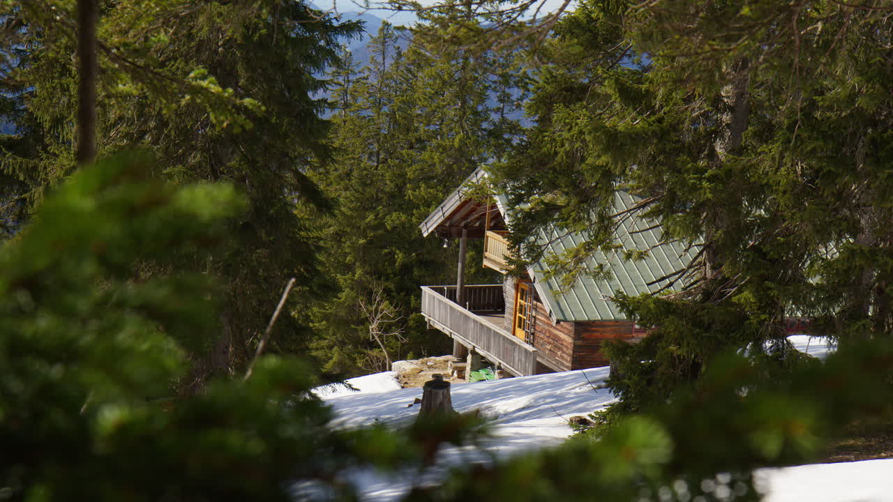 Mountain Cabin With Tall Pine Trees In Winter. Wide shot