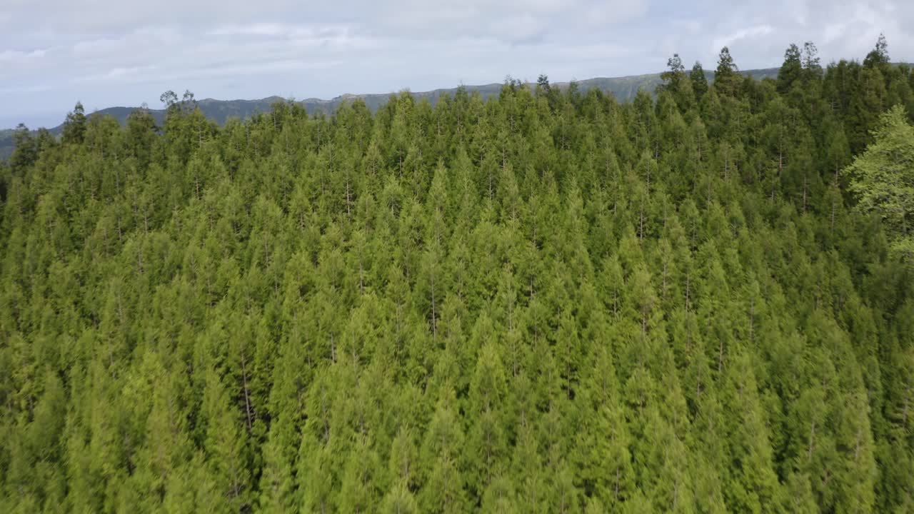 Dramatic cinematic aerial reveal of the Lagoa Azul lake in the Azores, Portugal