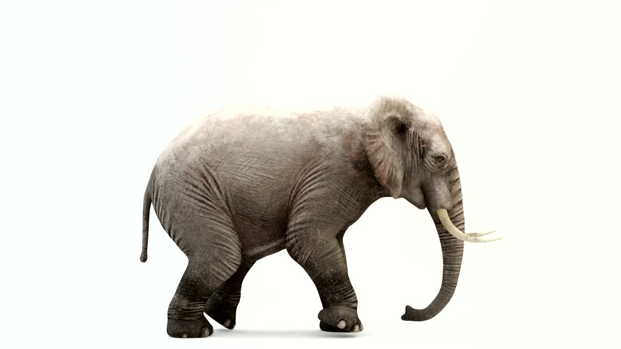 는 코끼리의 cg 렌더링. 루프 애니메이션.