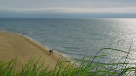 beautiful sea beach landscape. two people enjoying holiday at nature ocean coast