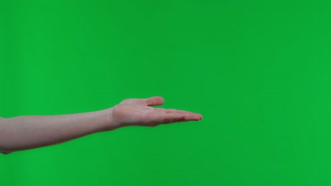 vista lateral del perfil primer plano de la mujer mano haciendo dinero gesto, pidiendo pago, asignación, gesto italiano con la mano. estudio interior disparado aislado en fondo rosa.