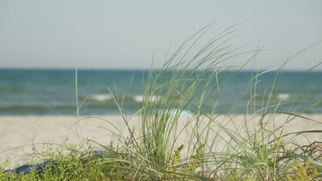 escena de playa serena con dunas de arena cubiertas de hierba y olas suaves