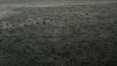 fuertes gotas de lluvia en la superficie del agua, lago, lluvia