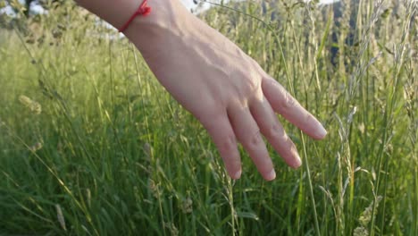 woman's hand touching tall grass in a field