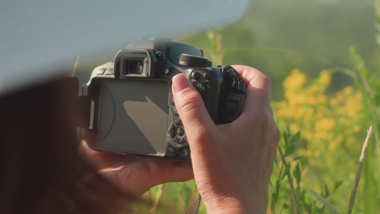 Close up of woman in white sunhat holding camera with both hands, photographing wild yellow flowers in soft blur, surrounded by green grass and flying insects in warm sunlight on summer hillside