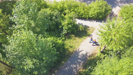 people walking in a park