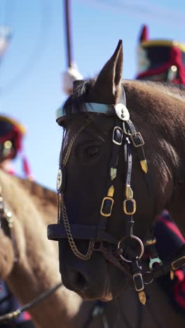 close up shot of a horse wearing traditional tack, with blurred figures in the background, capturing the essence of an outdoor event or parade