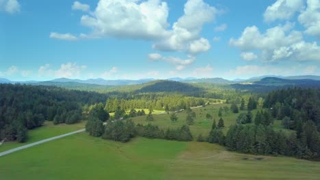 aerial overview - cars driving on distant road between dense forests, blue sky and clouds in background