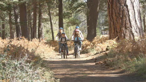 Familia-Andando-En-Bicicleta-Por-Un-Bosque,-Vista-Frontal-En-Cámara-Lenta