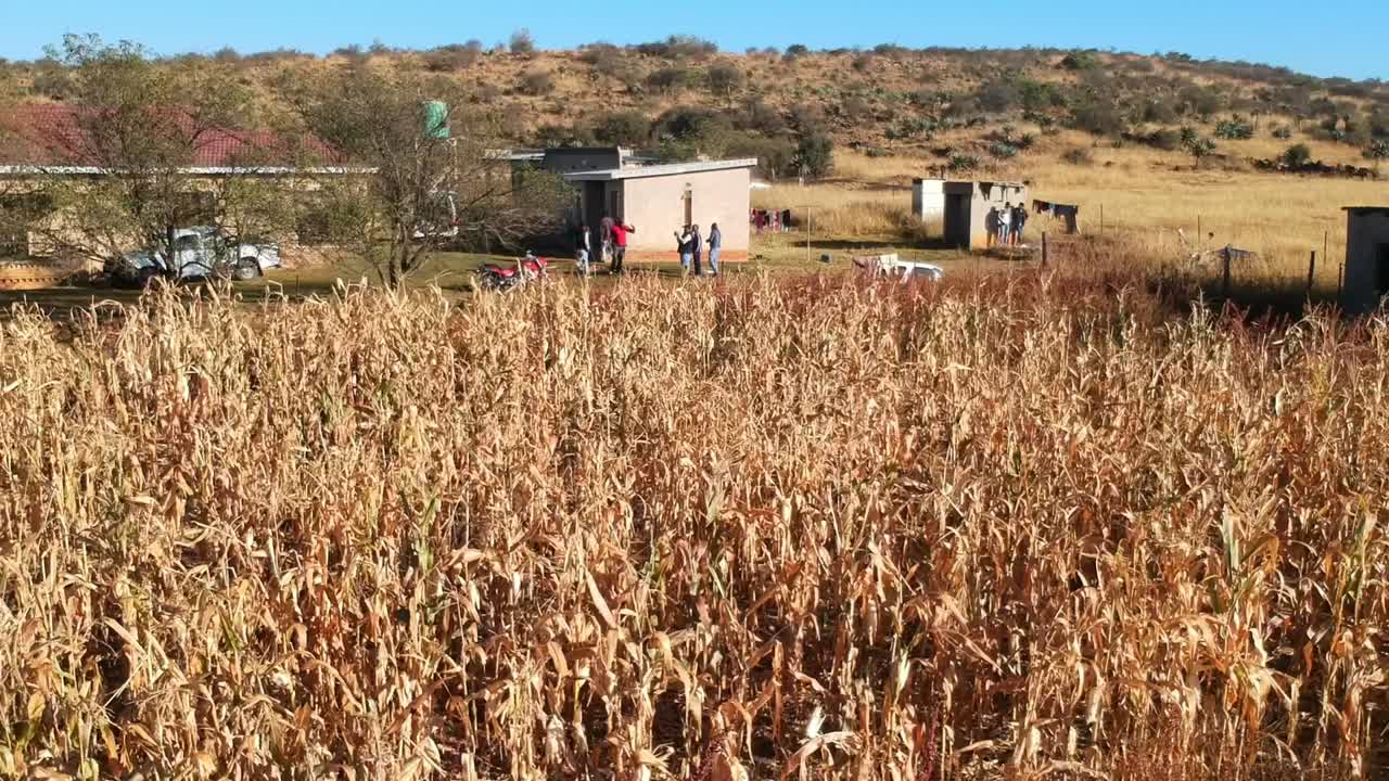 Farmhouse on open land  drone flyover