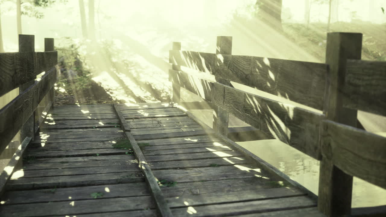 Sunlight filters through trees illuminating a wooden bridge in a serene forest