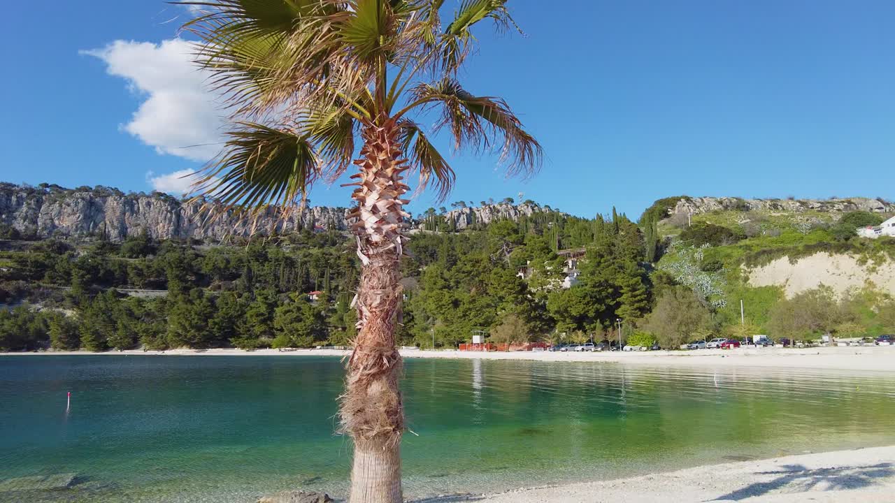 A stunning close-up image of a date palm on a beach, against the backdrop of mountains and a vast blue sky, offers a panoramic aerial view on a wonderfully bright, sunny day