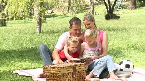 family reading in a park