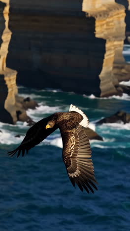 eagle in flight over coastal cliffs