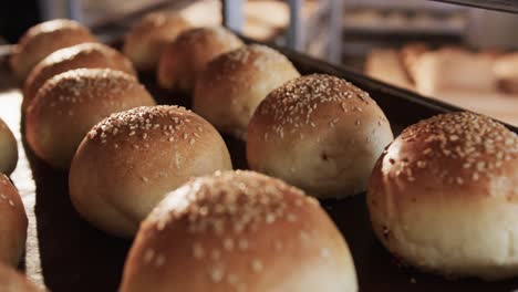 Close-up-of-fresh-rolls-in-row-with-seeds-on-bakery-sheet-in-slow-motion