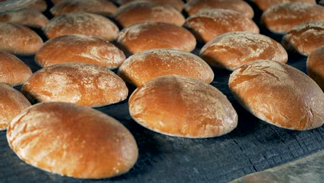 round loaves of bread are moving on the conveyor.