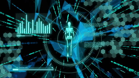 Animation-Von-Diagrammen-Und-Datenverarbeitung-über-Ein-Wandelndes-Skelett