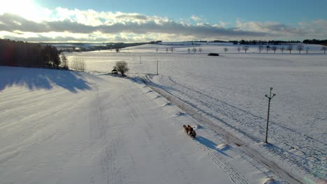 Horses-pull-a-sled-with-riders-over-a-winter-snowy-rural-landscape-at-a-dramatic-sunset