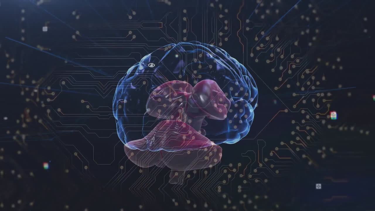 animación de un cerebro digital sobre una placa de circuito de computadora sobre un fondo negro