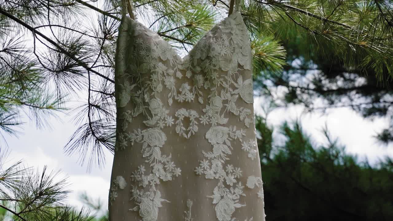 Elegant designer wedding dress swaying in the wind as it hangs from a pine tree on a sunny day