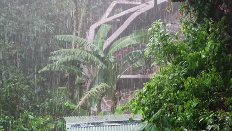 Clip-De-Mano-De-Aguacero-Torrencial-Durante-La-Temporada-De-Lluvias-En-La-Selva-Tropical-De-Guatemala