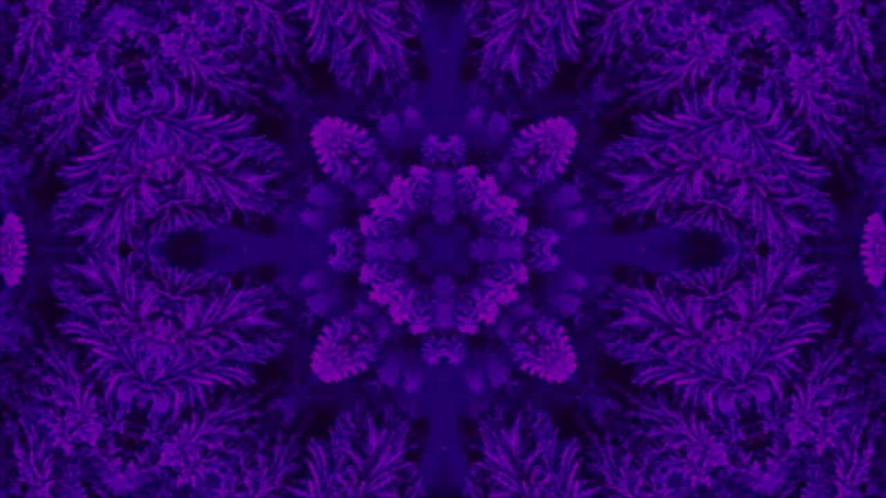 ciclo de caleidoscopio abstracto. las formas de las flores ciclo de kaleidoscopio sin costuras