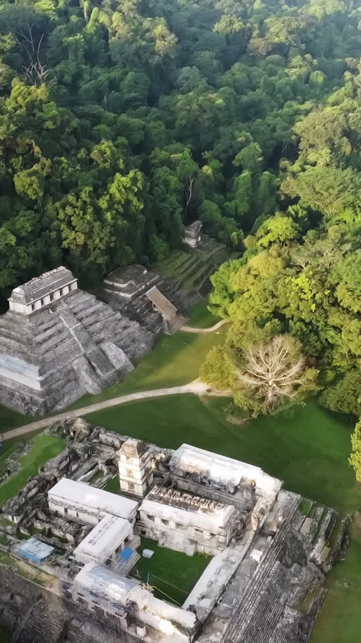 Vista aerea con drone delle rovine Maya di Palenque con antiche piramidi e templi circondati dalla giungla tropicale nel Messico meridionale. Verticale.