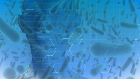 animación de células de coronavirus que se propagan sobre la cabeza humana sobre un fondo azul.