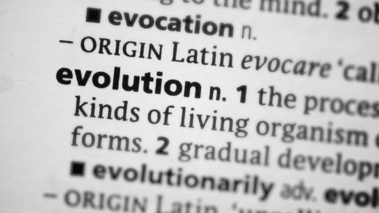 진화에 초점을 맞추고