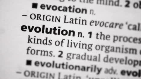 se centra en la evolución