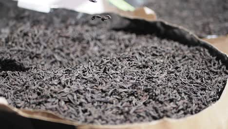 pouring loose leaf black tea