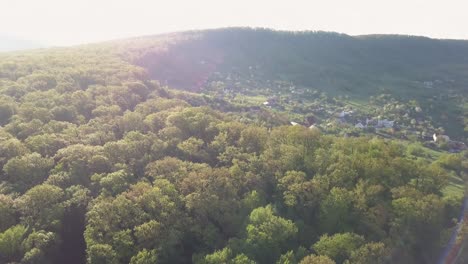 flying over brightly lit tree tops, forest in summer or spring, tranquil scene, camera slowly tilting upwards revealing a village, living in the nature, countryside lifestyle