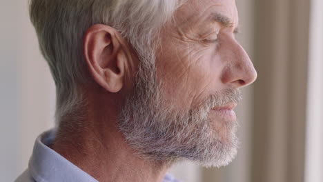 portrait happy old man drinking coffee at home looking out window smiling enjoying retirement lifestyle planning ahead