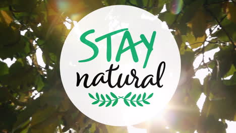 animation of stay natural text over leaves