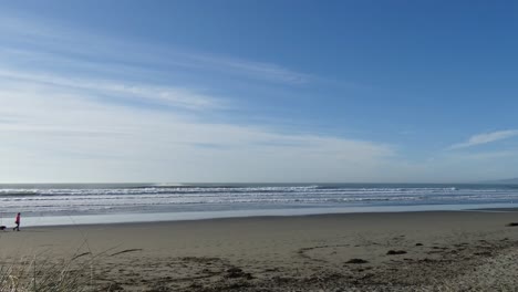 person walks with dog on sandy beach at low-tide on a sunny day - new brighton beach