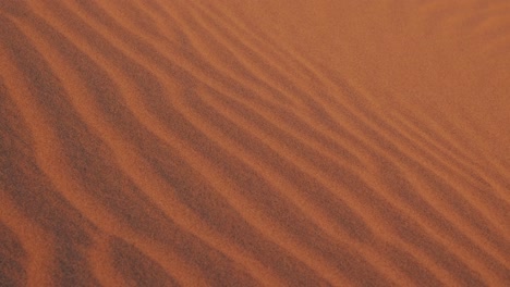 detalle de las líneas de textura de arena en las dunas del desierto