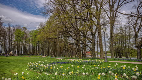 timelapse of beautiful city park and bright tulips as park goers walk along path