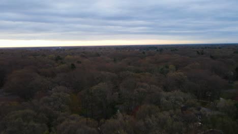 Pushing-forward-along-treetops-during-an-overcast-morning